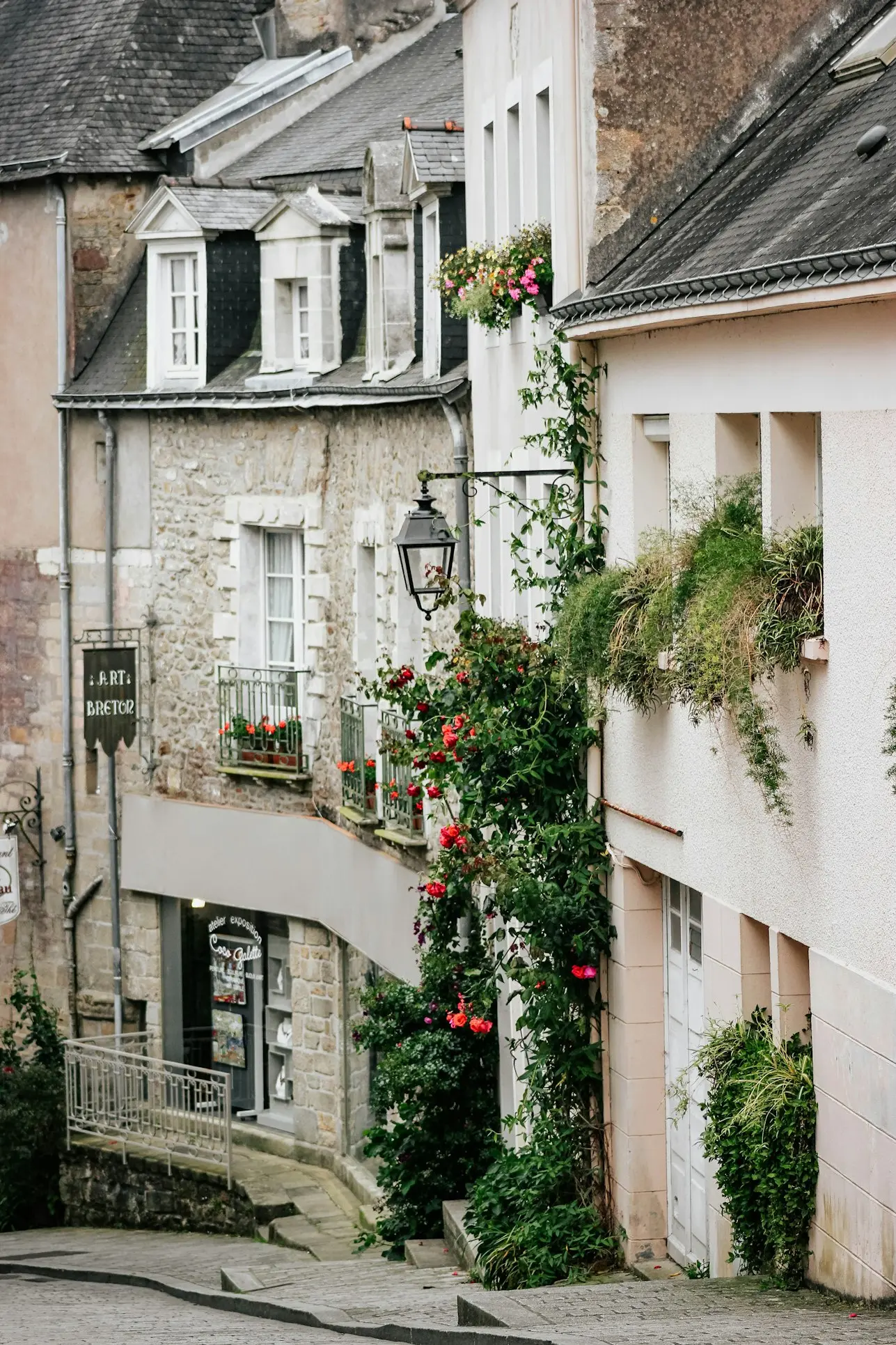 France – City Charms & Blossoming Countryside