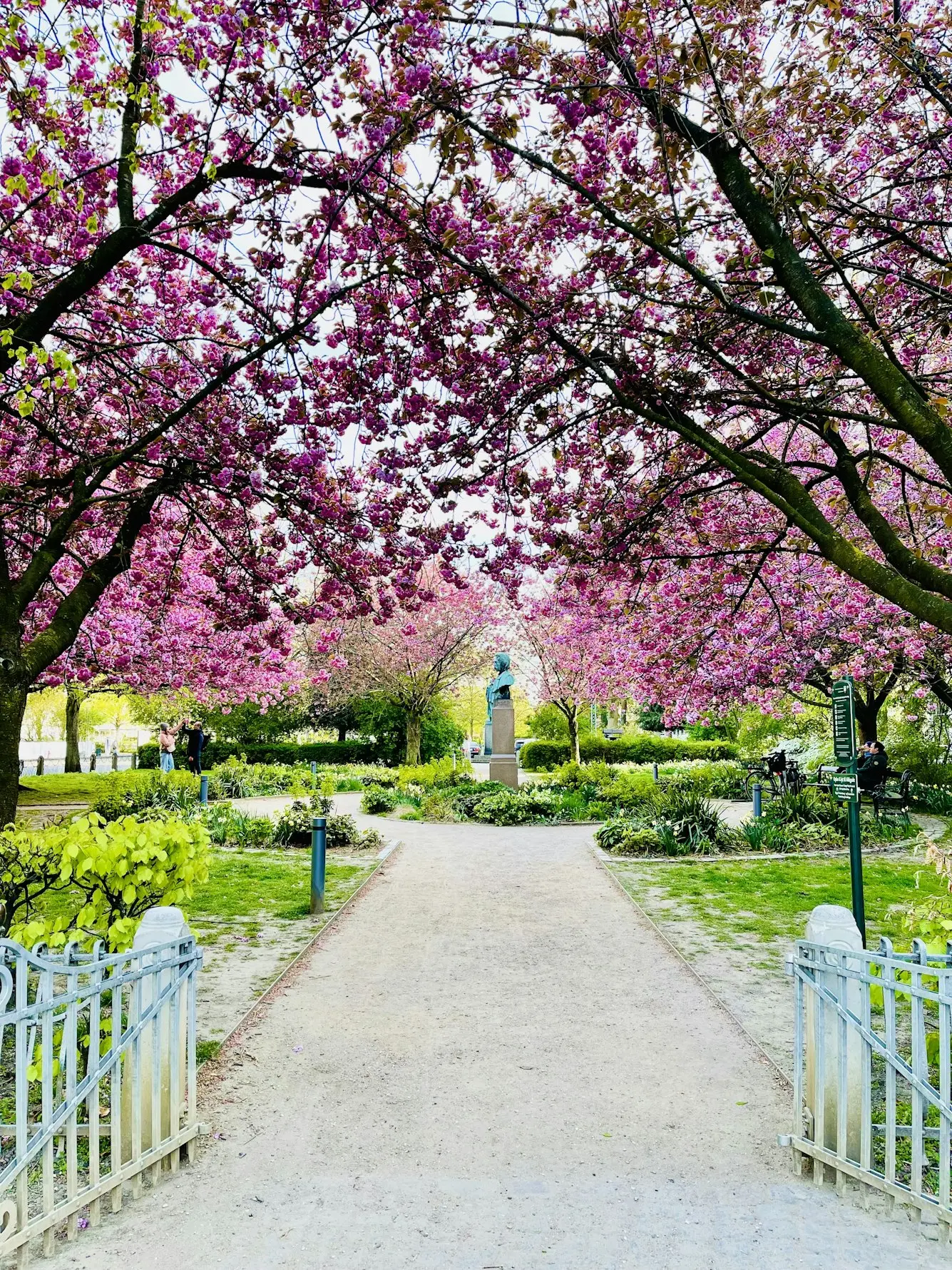 France –Extensive Springtime Splendor