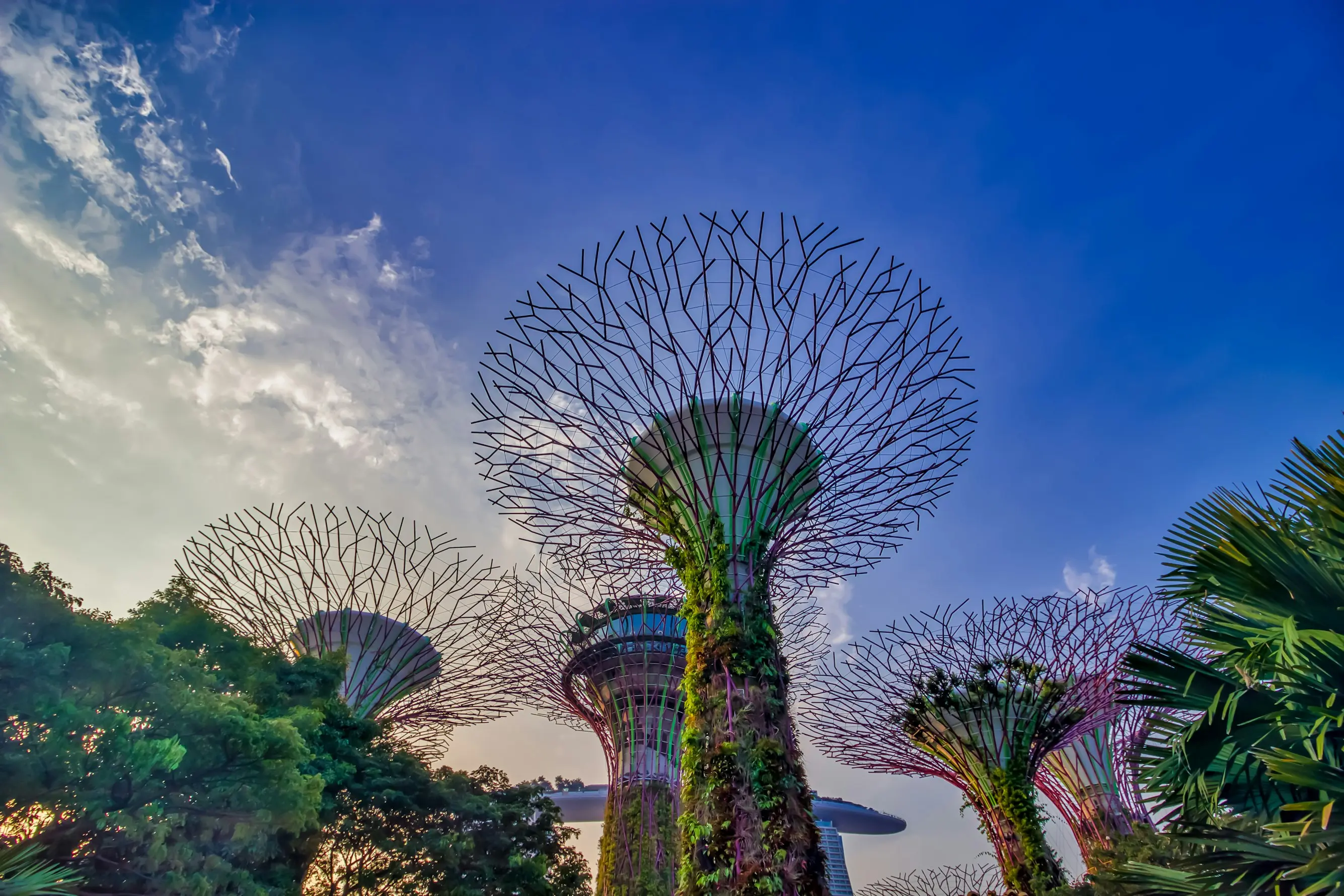 Singapore – Culture, Nature & Urban Surprises