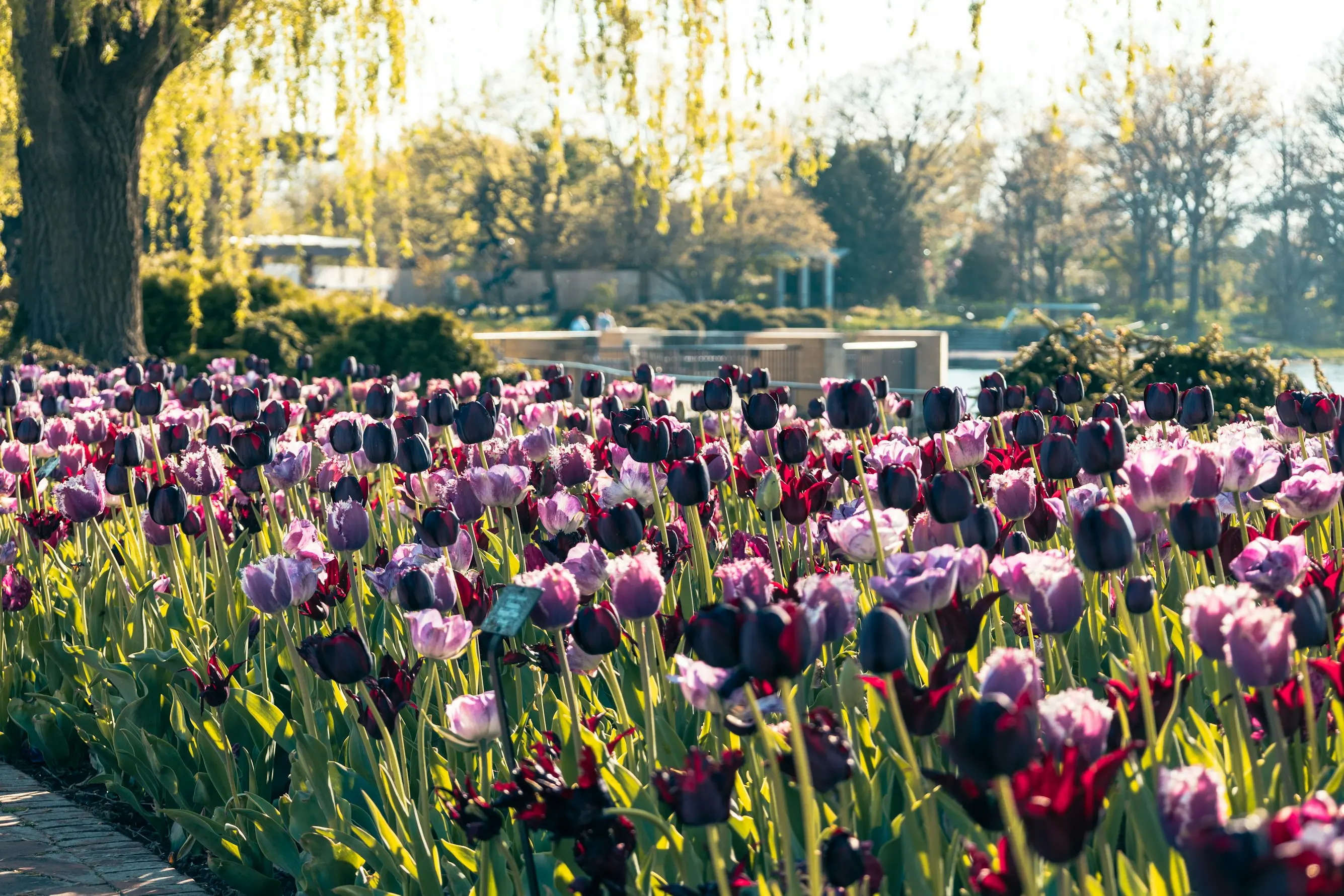 UK –British Heritage & Springtime Gardens