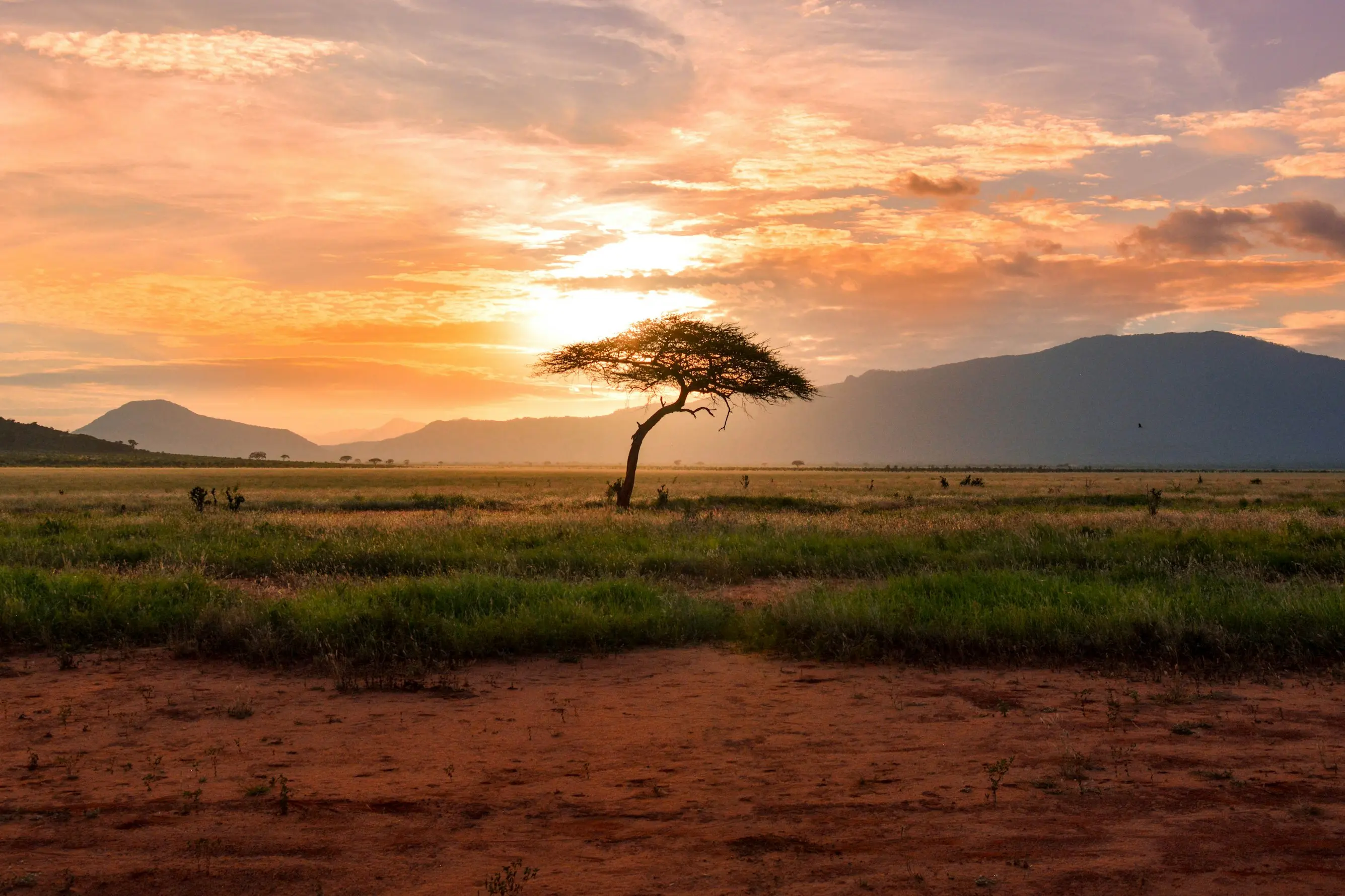 25-Night Ultimate Kenya Exploration Tour