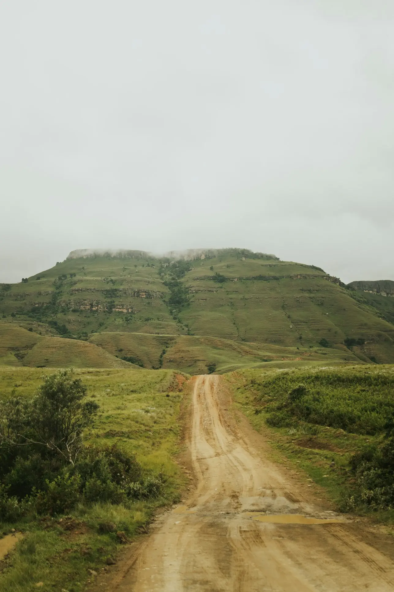 The Garden Route & Malaria-Free Safari