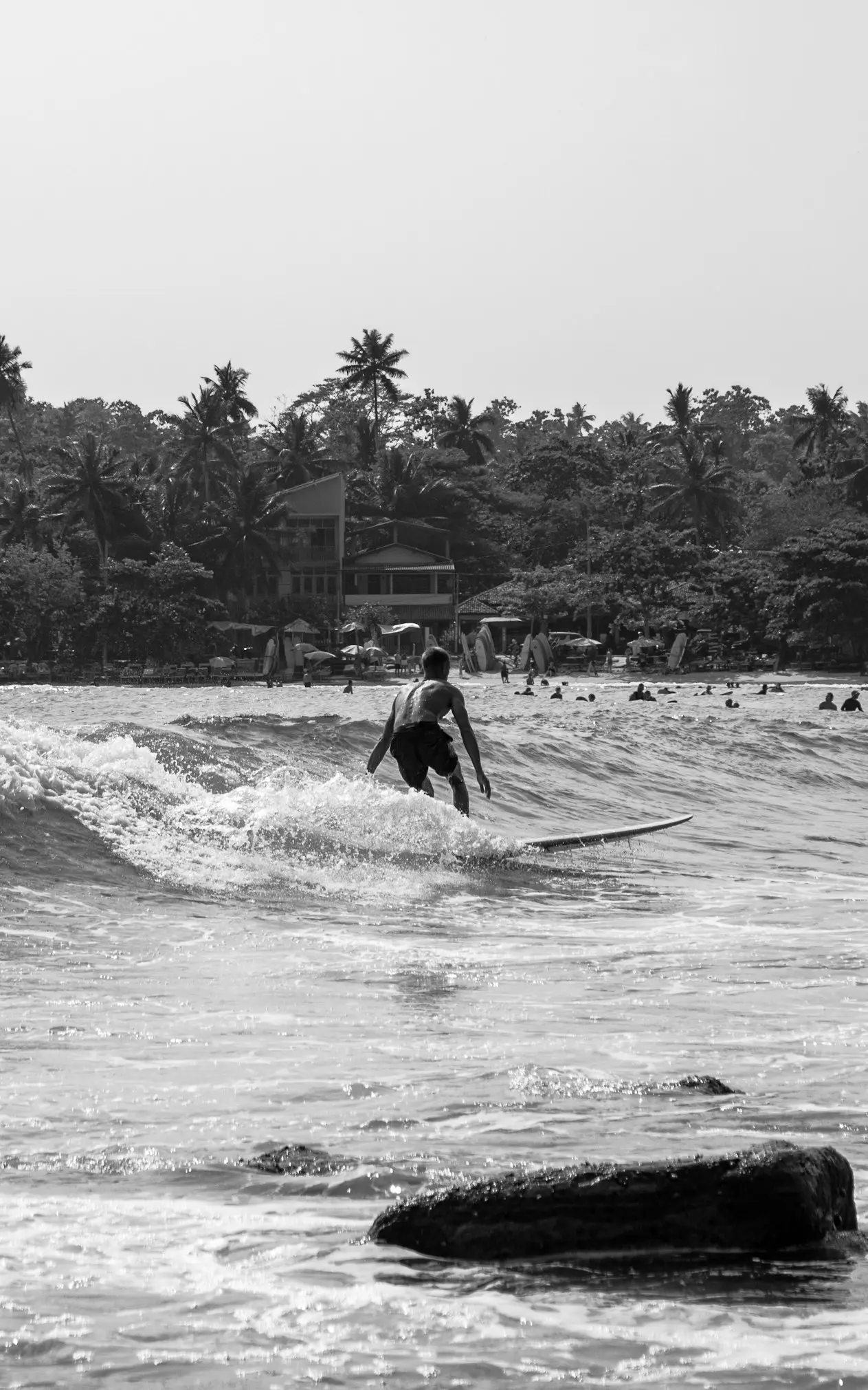 Sri Lanka – Surf, Culture & Nature Odyssey
