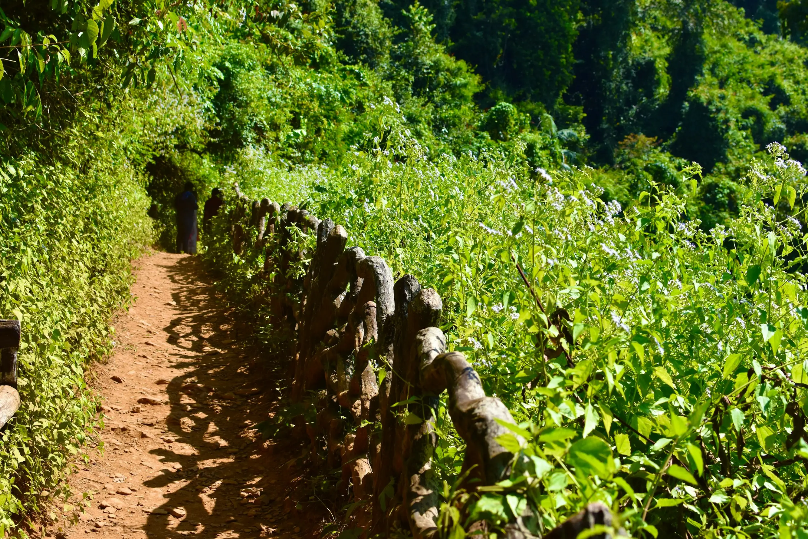 Gallery image for Southern Spice & Gourmet Trail