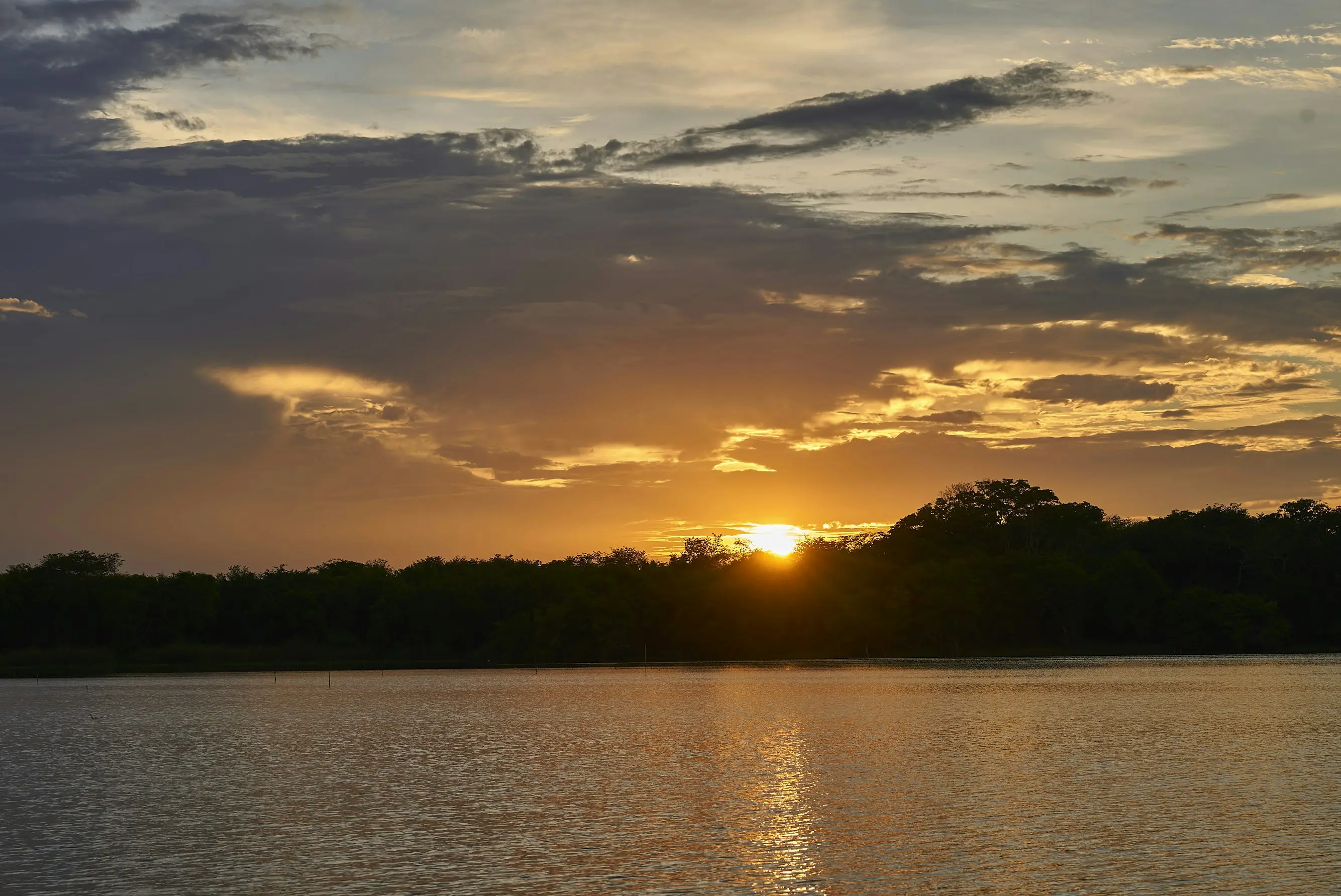 Pantanal & Amazon Safari Adventure