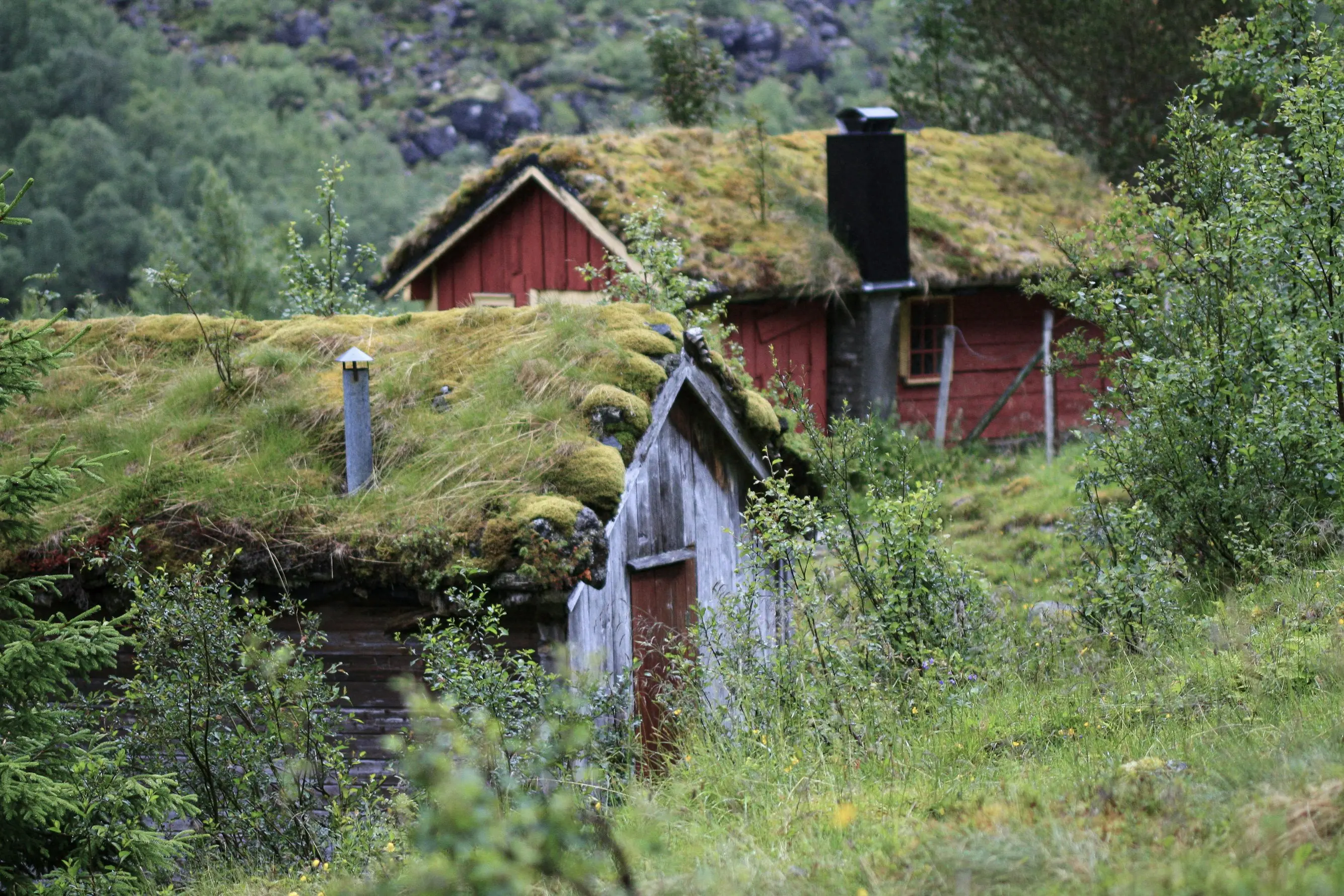 Scandinavian Culture & Nature Immersion