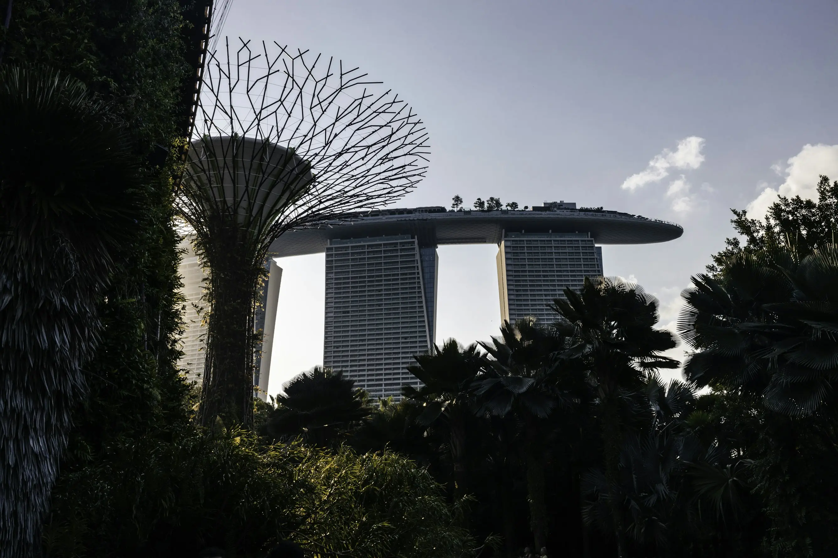 Singapore – Urban Exploration & Garden Splendor