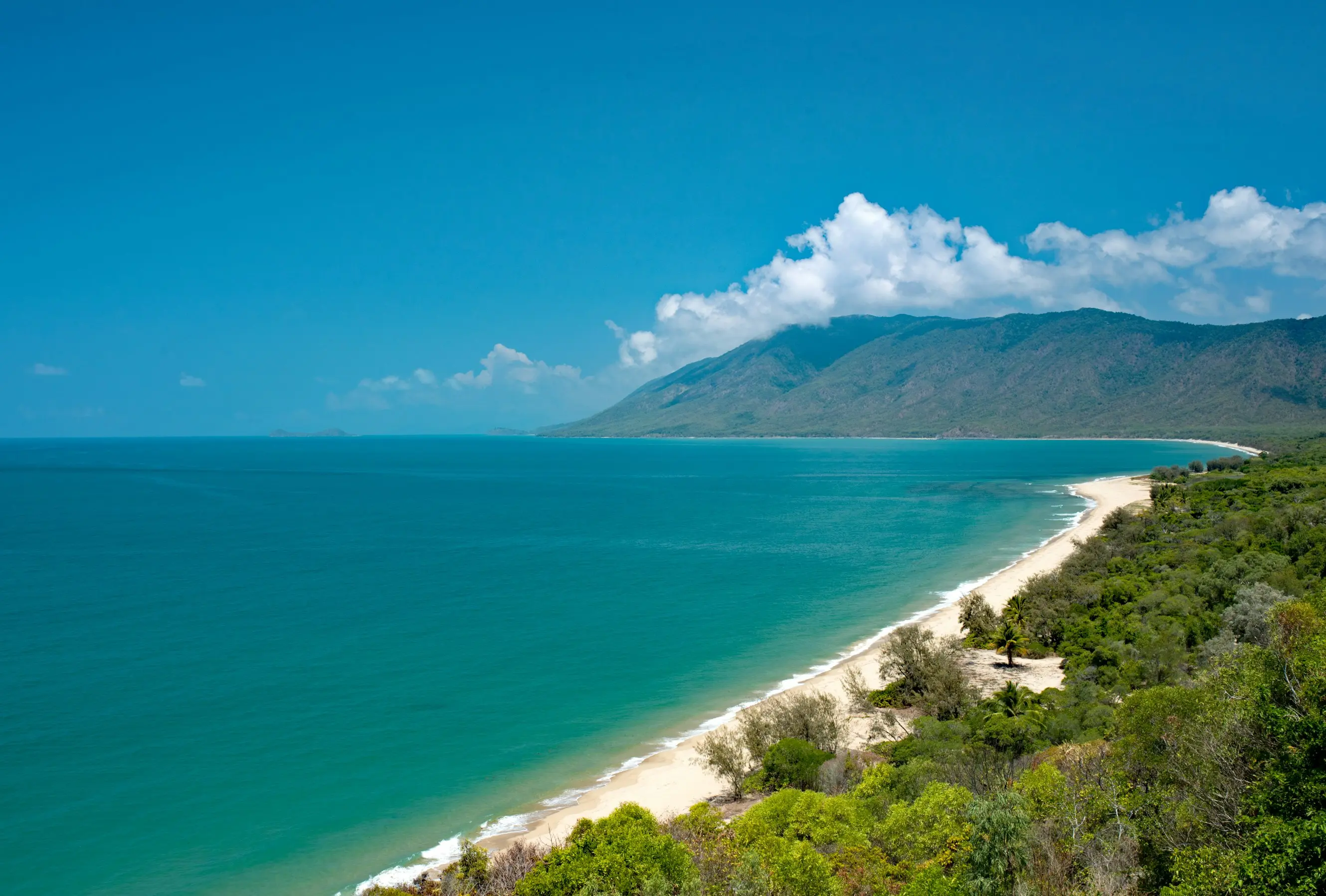 Tropical & Coastal Safari – Cairns, Daintree Rainforest & Great Barrier Reef