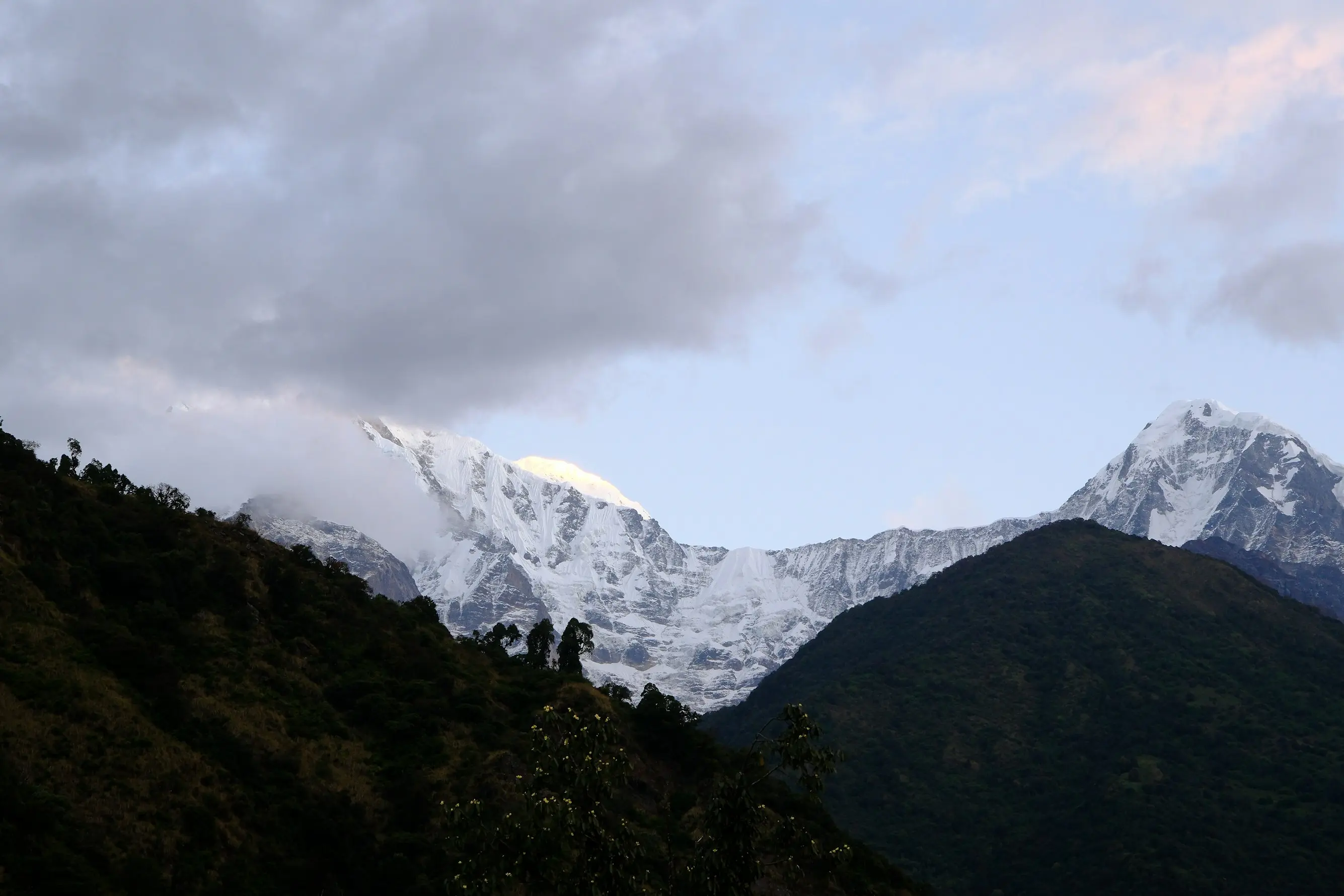 Gallery image for Northern Himalayan Gourmet Escape